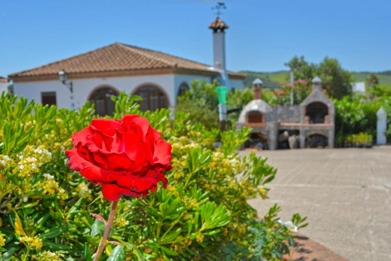 La Esperanza 1 Y 2 Medina-Sidonia Exterior foto